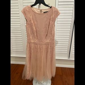 Sweet Tadashi Shoji Dress